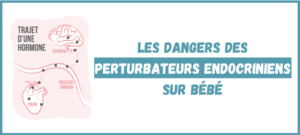 Lire la suite à propos de l’article Les dangers des perturbateurs endocriniens sur bébé